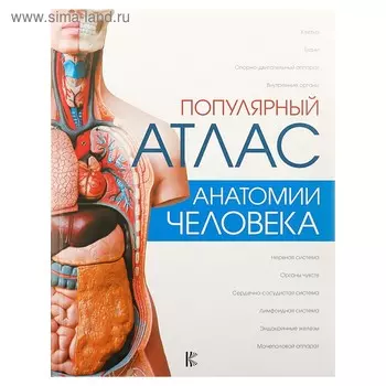 Популярный атлас анатомии человека. Палычева Л.Н.