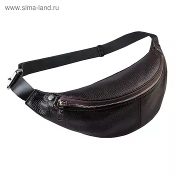 Поясная сумка, отдел на молнии, регулируемый ремень, цвет коричневый