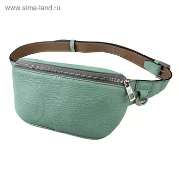 Поясная сумка, отдел на молнии, регулируемый ремень, цвет ментол