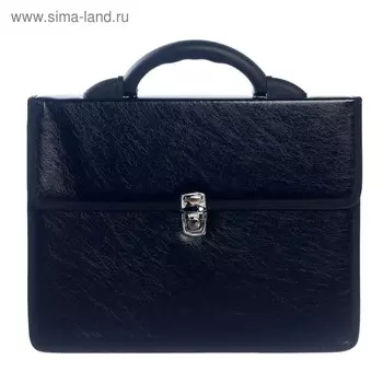 Портфель деловой, кожзам, 350 х 260 х 100 мм, "Колпино", лак, чёрный