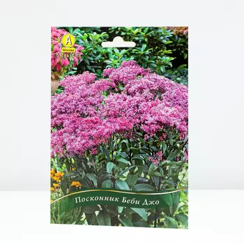 Посконник Беби Джо, 1 шт, Весна 2024