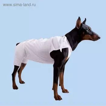 Послеоперационная попона OSSO, 3 (длина спины 26-29 см), хлопок