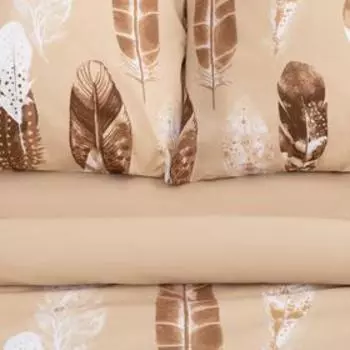 Постельное бельё 2-спальное «Этель. Перья (вид 1)», поплин