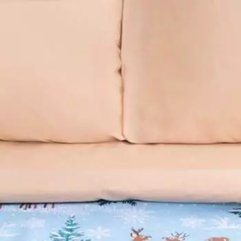 Постельное бельё дуэт «Этель. Зимнее волшебство», бязь