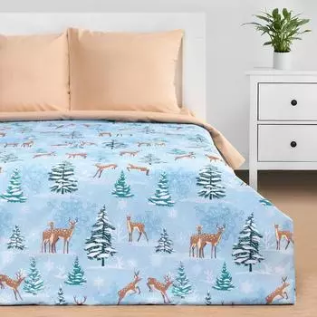 Постельное бельё евро «Этель. Зимнее волшебство», бязь