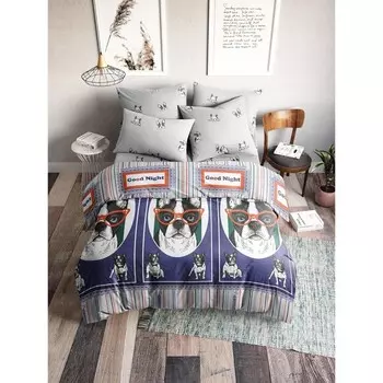 Постельное бельё 1.5 сп «Мистер», размер 145х215 см, 145х215 см, 50х70 см - 2 шт