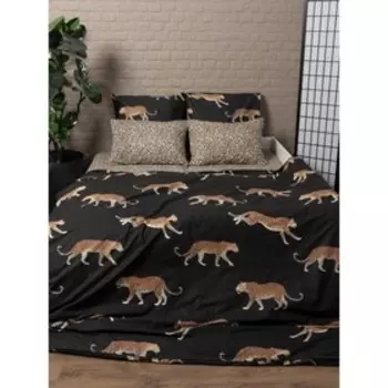 Постельное бельё 1,5 сп «Грация», размер 215х150 см, 215х145 см, 70х70 см - 2 шт