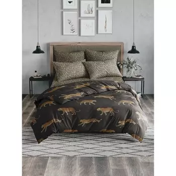 Постельное бельё 1,5 сп «Грация», размер 215х150 см, 215х145 см, 70х70 см - 2 шт