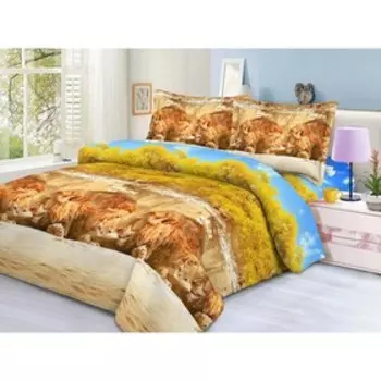 Постельное бельё 1,5 сп, размер 145x210 см, 145x210 см, 70x70 см - 2 шт