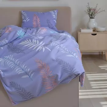 Постельное бельё 1,5сп Экономь и Я 150*225см, 150*225см, 50*70см-1шт, 60г/м2, микрофибра