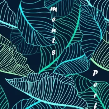 Постельное бельё 1,5сп Традиция Неон 146х217, 150х217, 70х70 см 2шт, бязь 125г/м 100% хлопок