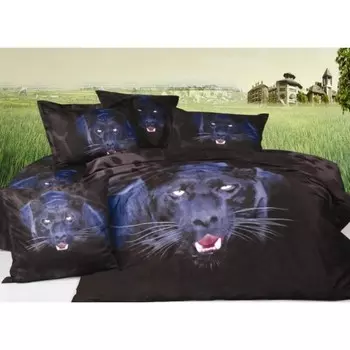 Постельное бельё 2 сп Diva Afrodita, размер 200х220 см, 180x220 см, 70x70 см - 2 шт