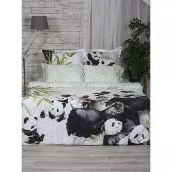 Постельное бельё 2 сп Family Pandas, размер 215х235 см, 175х210 см, 50х70 см - 2 шт, 70х70 см - 2 шт