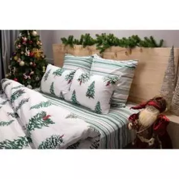 Постельное бельё 2 сп Ночь Нежна «Зимняя сказка» 215х175, 220х180, 70х70см -2 шт