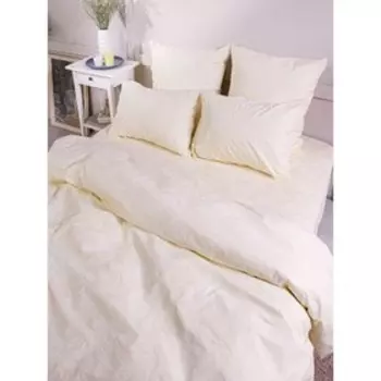 Постельное бельё 2 сп «Пейсли», размер 220х180 см, 215х175 см, 70х70 см - 2 шт