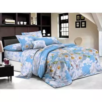 Постельное бельё 2 сп, размер 175x210 см, 175x210 см, 70x70 см - 2 шт