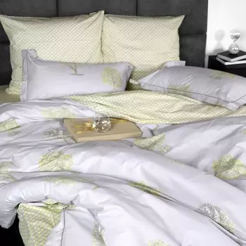 Постельное бельё 2 сп Valence, размер 230х240 см, 180х210 см 50х70 см - 2 шт