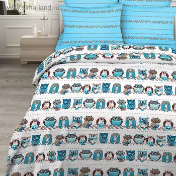 Постельное бельё 2 сп. «Василиса» Совы 175х215, 200х220, 70х70 см - 2 шт.