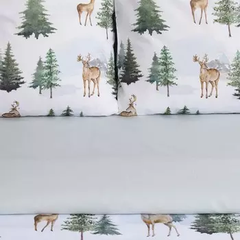 Постельное бельё 1.5-спальное «Этель. Однажды в лесу», поплин