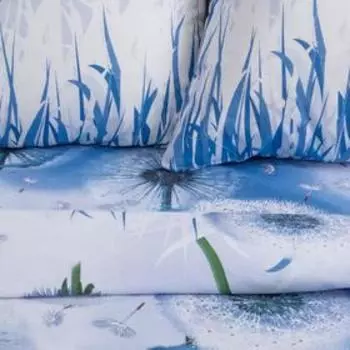 Постельное бельё 2-спальное «Этель. Одуванчики», бязь