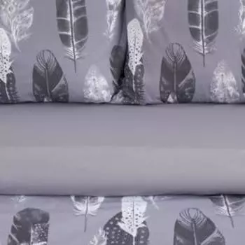 Постельное бельё 2-спальное «Этель. Перья (вид 2)», поплин