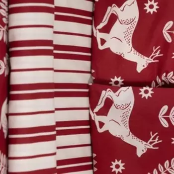 Постельное бельё дуэт «Этель» Christmas time, поплин