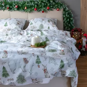 Постельное бельё евро «Этель» Forest history, поплин