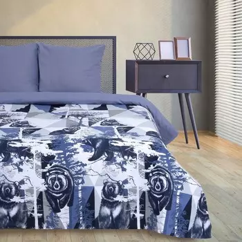 Постельное бельё евро «Этель» Геометрия леса, бязь