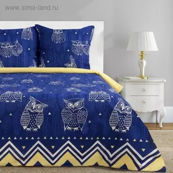 Постельное бельё евро «Этель. Ушастые совы (вид 3)», бязь