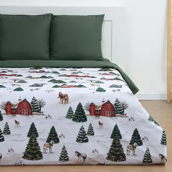 Постельное бельё евро «Этель» Winter ranch, поплин