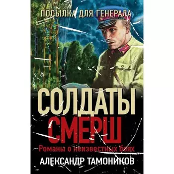 Посылка для генерала. Тамоников А.