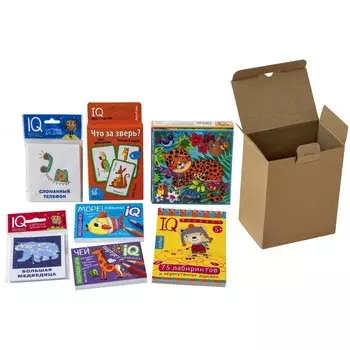 Посылка. От Деда Мороза. 5-6 лет. Мини-комплект IQ-игр