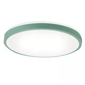 Потолочный светильник, 60Вт, LED, 49,5x49,5x4 см, цвет зеленый