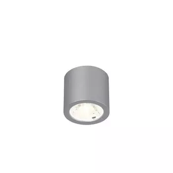 Потолочный светильник Deorsum LED 7Вт