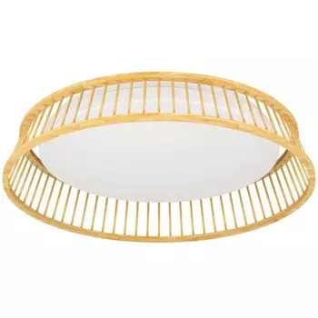 Потолочный светильник LUPPINERIA, 20Вт LED