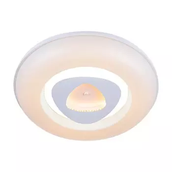 Потолочный светильник MOLD LEDx120Вт