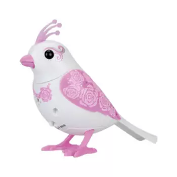 Поющие птички «Жених и невеста»