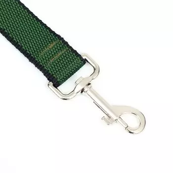 Поводок 1.2 м 2.5 см, зелёно-черный