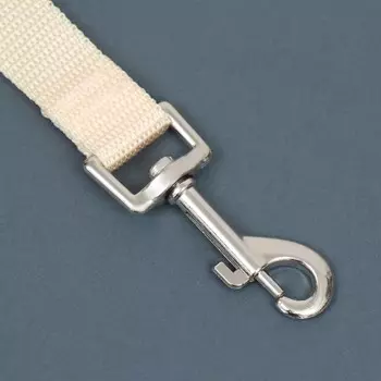 Поводок 3 м х 2 см, бежевый