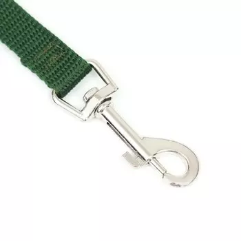 Поводок 5 м х 1,5 см, зелёный