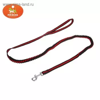 Поводок амортизирующий, 1,2-1,6 м х 1,5 см, чёрно-красный