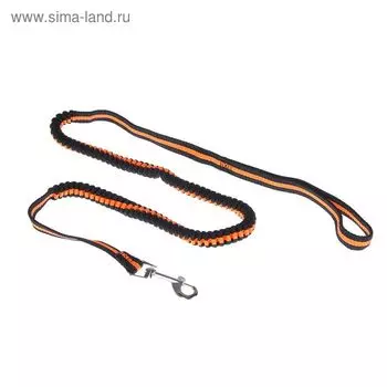 Поводок амортизирующий, 1,2-1,6 м х 1 см, чёрно-оранжевый