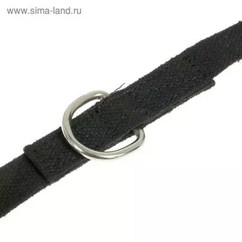 Поводок брезентовый регулируемый, 1.2-2 м х 2 см, микс