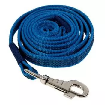 Поводок с латексной нитью двухсторонний, 2 м х 2 см, нейлон, синий