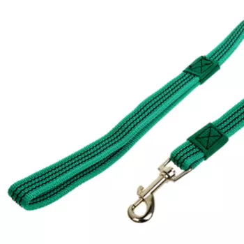 Поводок "Зооник" капроновый с латексной нитью, 5 м х 2 см, зелёный
