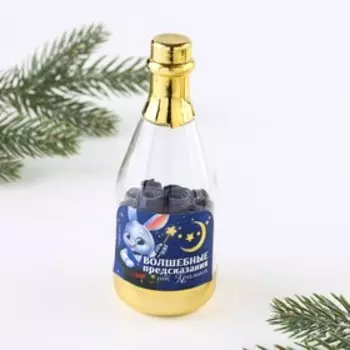 Пожелания в бутылке «Волшебные предсказания», 12х5см