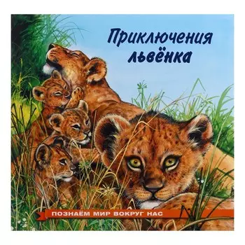 Познаем мир вокруг нас «Приключения львенка»