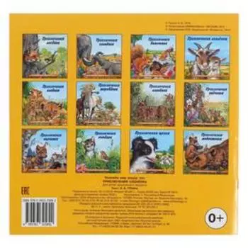 Познаём мир вокруг нас «Приключения слонёнка»