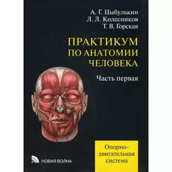 Практикум по анатомии человека. В 4-х частях. Часть 1. Опорно-двигательная система. Колесников Л.Л., Цыбулькин А.Г., Горская Т.В.