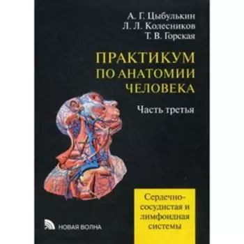 Практикум по анатомии человека. В 4-х частях. Часть 3. Сердечно-сосудистая и лимфоидная система. Цыбулькин А.Г., Колесников Л.Л., Горская Т.В.